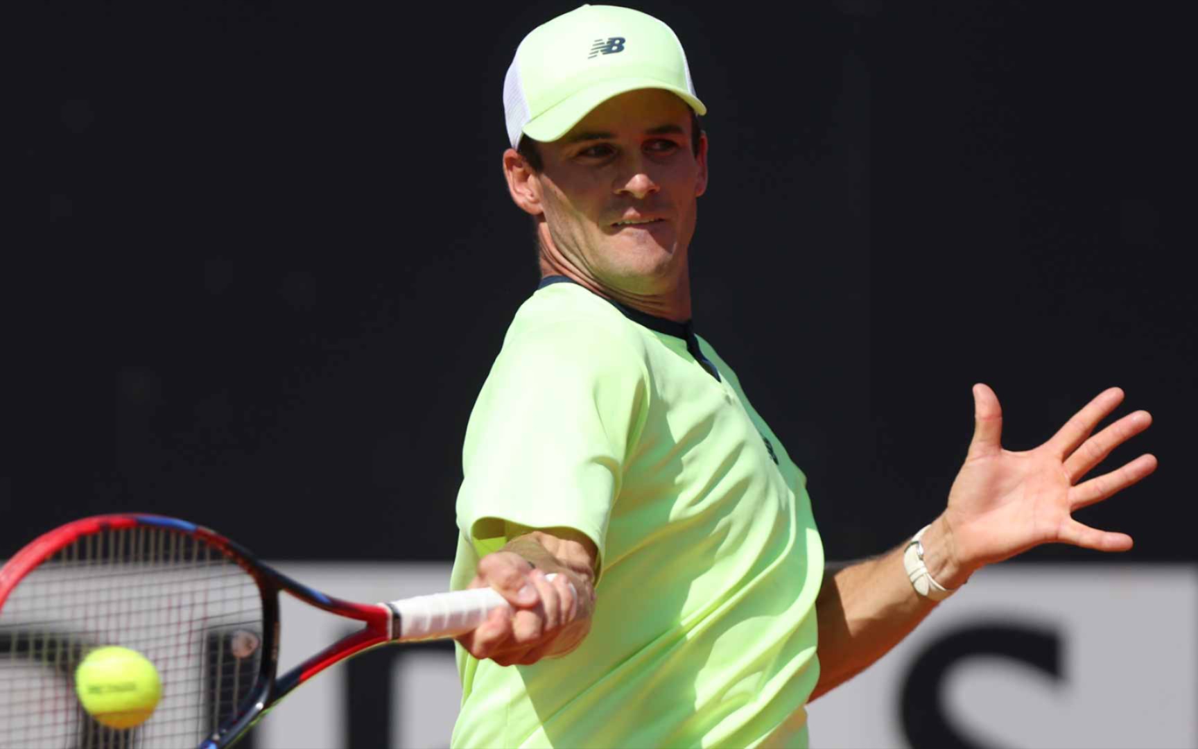 比复制了蜘 比复制了蜘